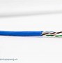 Cáp Mạng Cat6 Utp Alantek