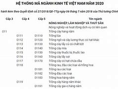 Mã Ngành Kinh Doanh Quốc Tế Fpt