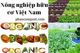 Nền Nông Nghiệp Hữu Cơ Là Gì