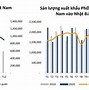 Ở Vn Mỏ Apatit Tập Trung Chủ Yếu Ở Tỉnh Nào