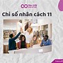 Số Chủ Đạo Của Tháng 11 Là Gì