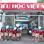 Trường Tiểu Học Việt Mỹ Bình Dương